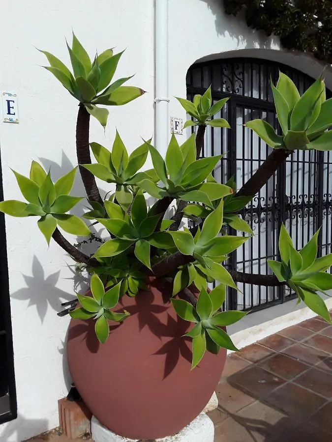 Apartment Dona Lola , Luminoso Apartamento Calahonda, Mijas Sitio de Calahonda