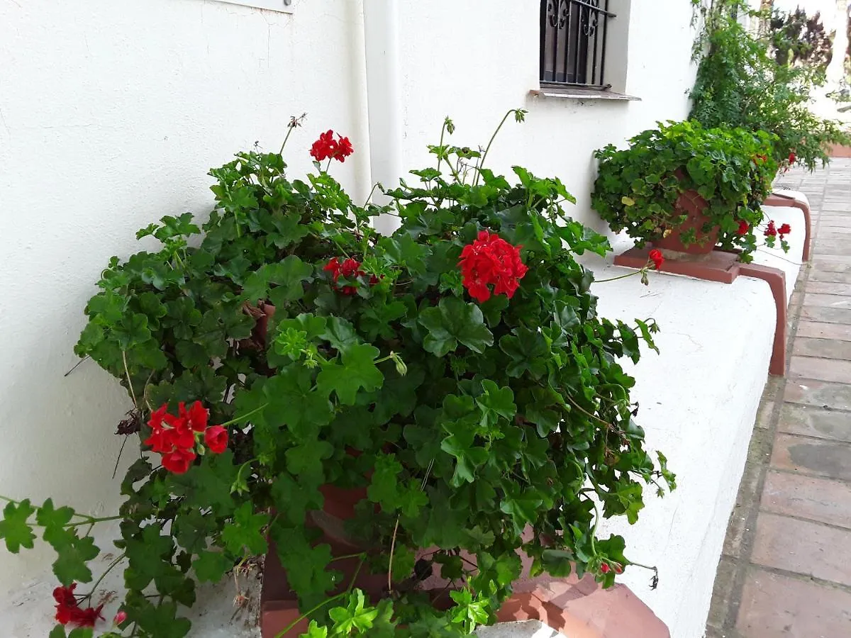 Dona Lola , Luminoso Apartamento Calahonda, Mijas Sitio de Calahonda