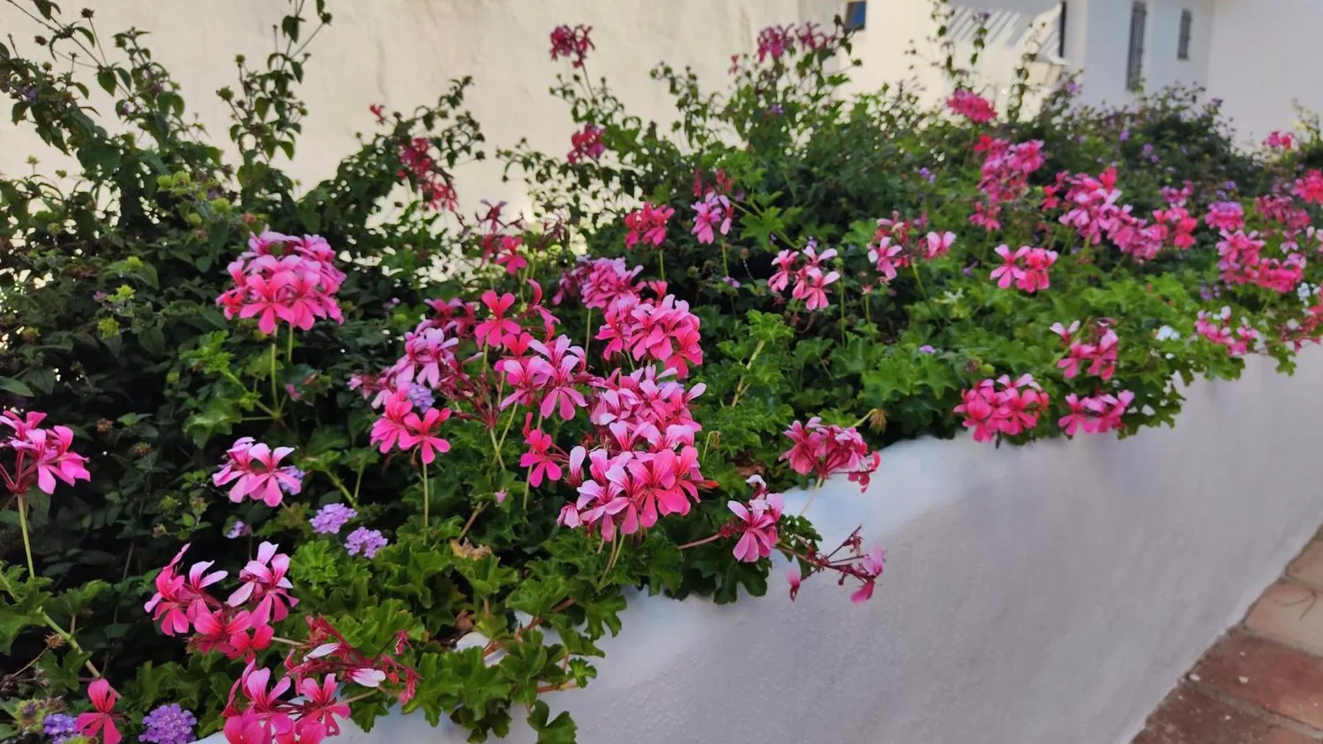Dona Lola , Luminoso Apartamento Calahonda, Mijas Sitio de Calahonda Spain